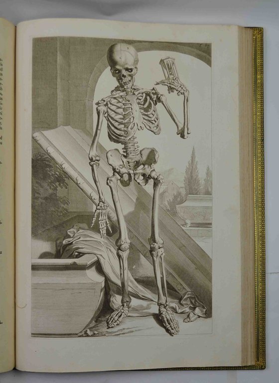 Anatomia corporum humanorum... accedunt ejusdem introductio in oeconomia animalium, et … | Immagine Gallery 3