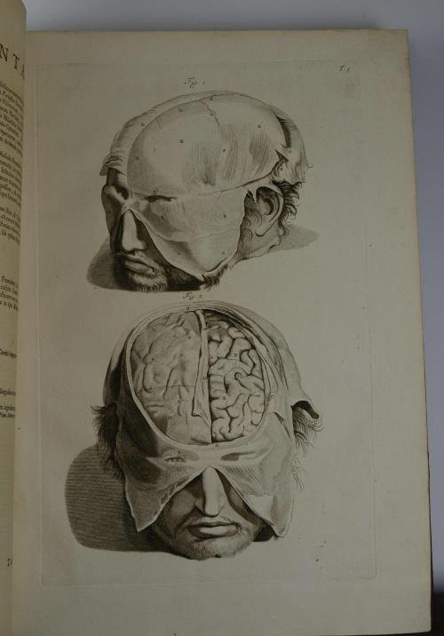 Anatomia corporum humanorum. accedunt ejusdem introductio in oeconomia animalium, et …