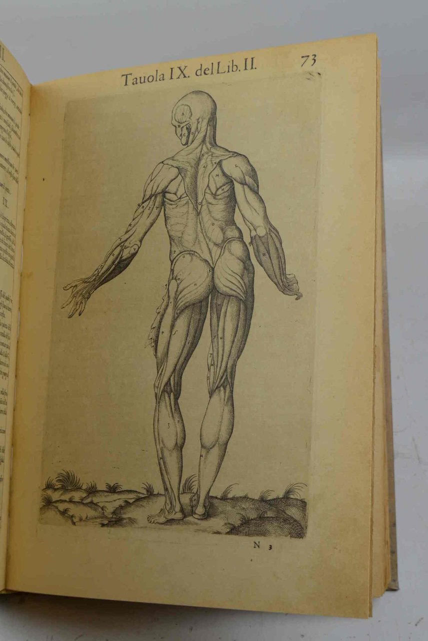 Anatomia del corpo humano composta per M. Giovan Valverde di …