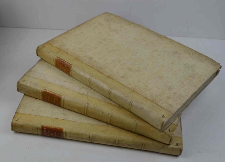 Annali della città di Padova… | Immagine Gallery 3