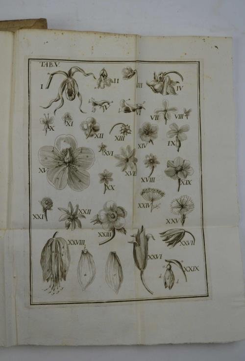 Anthologia sive de floris natura libri tres plurimis inventis, observationibusque, …