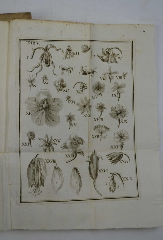 Anthologia sive de floris natura libri tres plurimis inventis, observationibusque, …