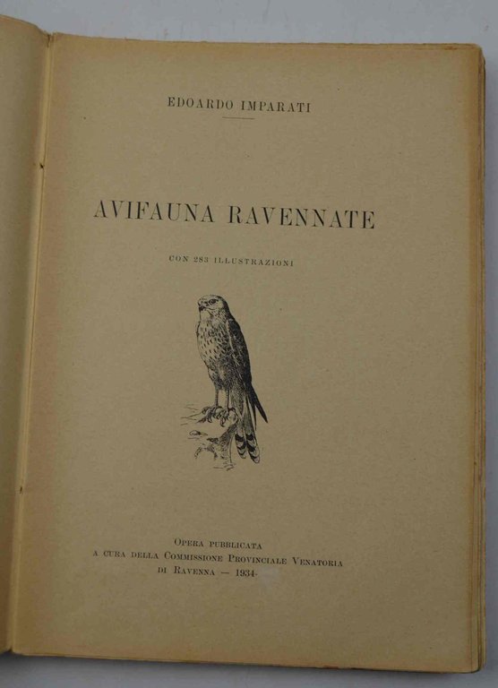 Avifauna ravennate.