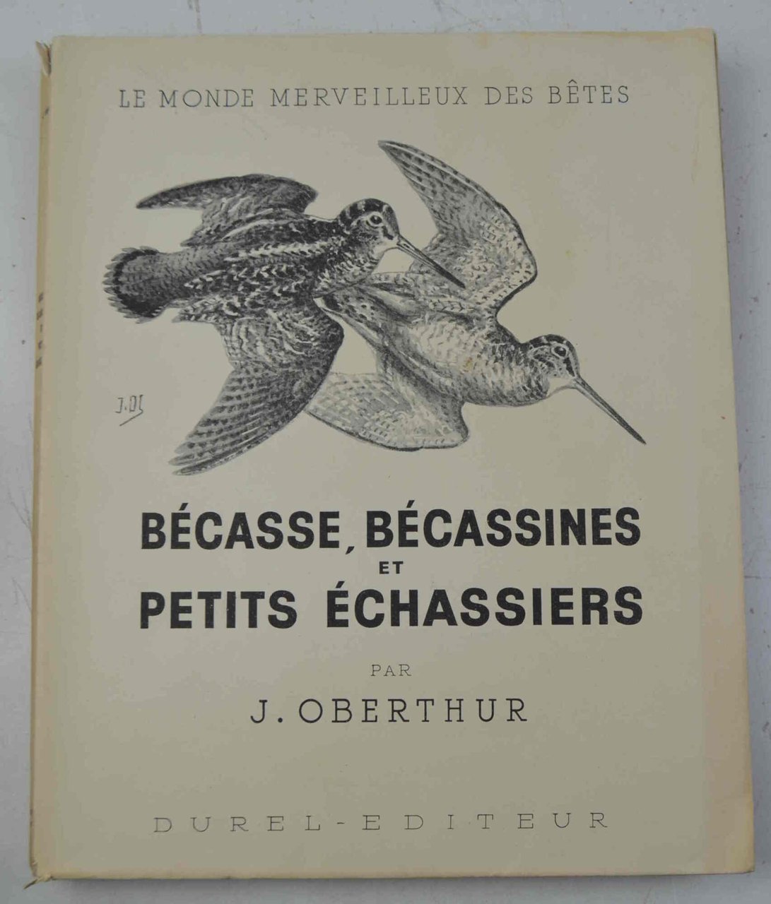 Bécasse, Bécassines et petits échassiers...