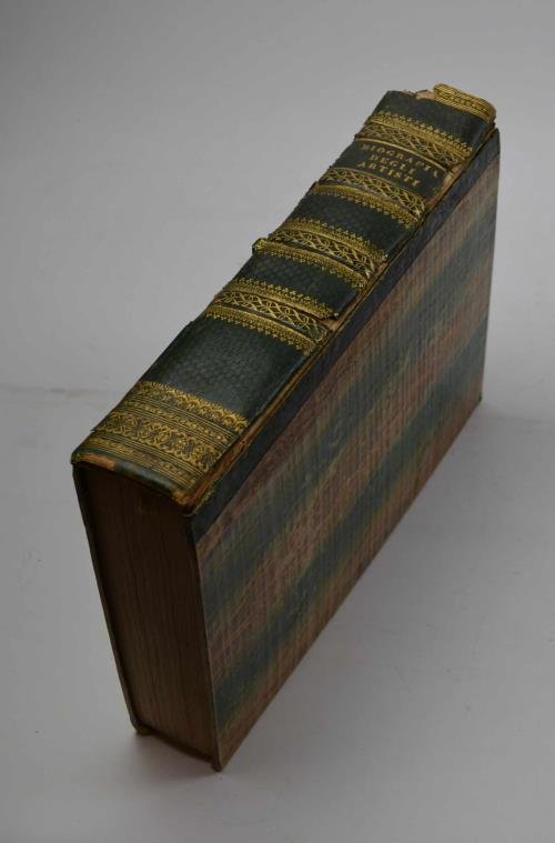 Biografia degli artisti. | Immagine Gallery 2