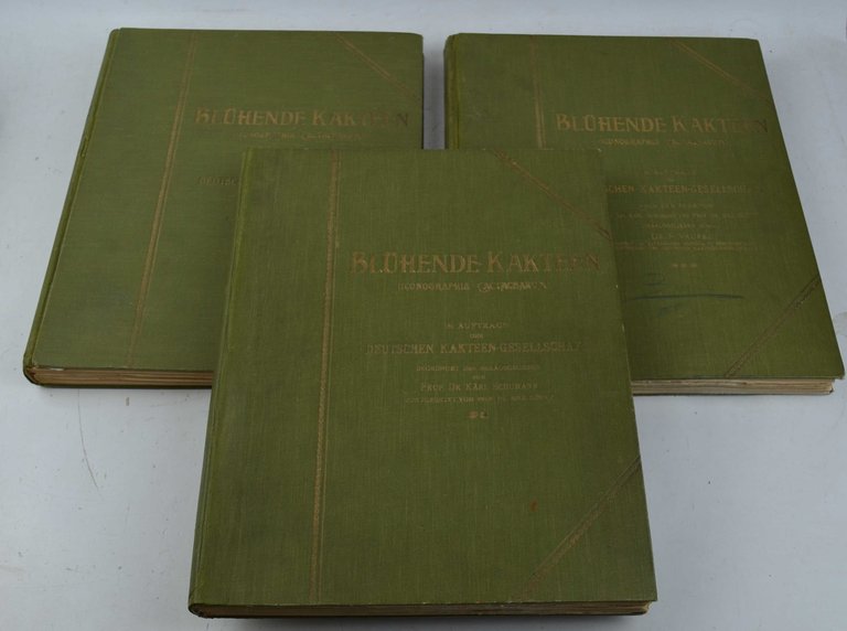 Blühende Kakteen (Iconographia Cactearum).