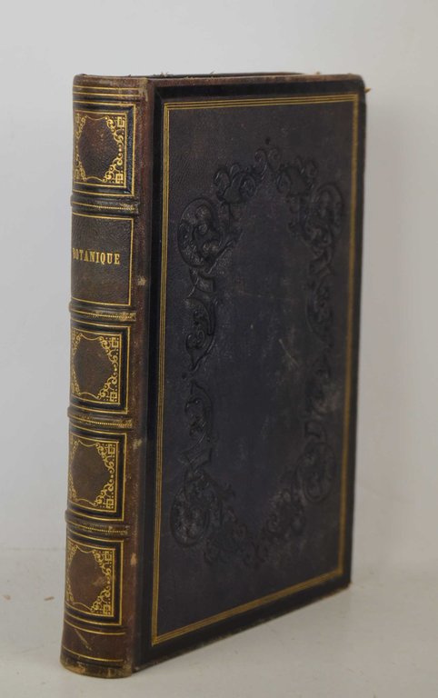 Botanique. Organographie et taxonomie. Histoire naturelle des familles végétales et … | Immagine Gallery 3