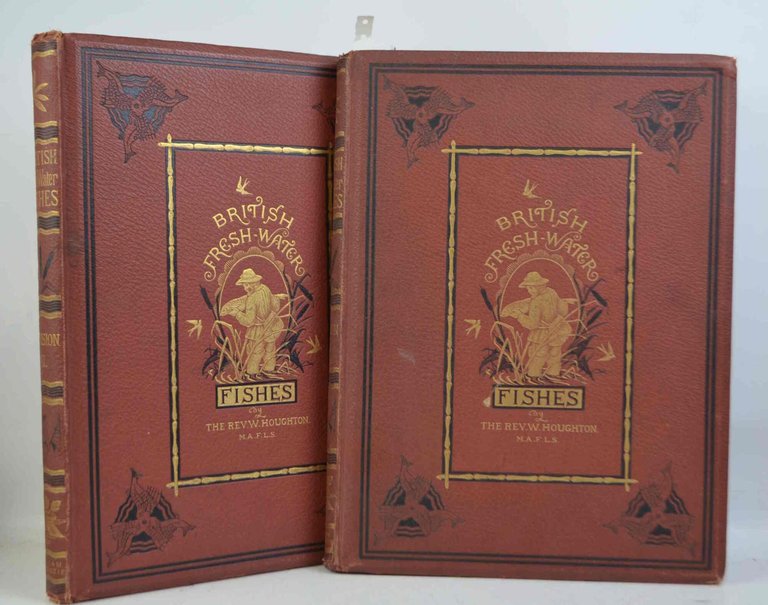 British fresh water fishes.