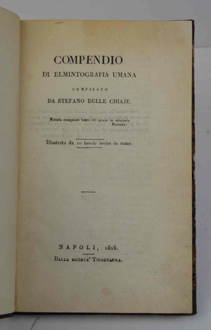 Compendio di elmintografia umana... | Immagine principale