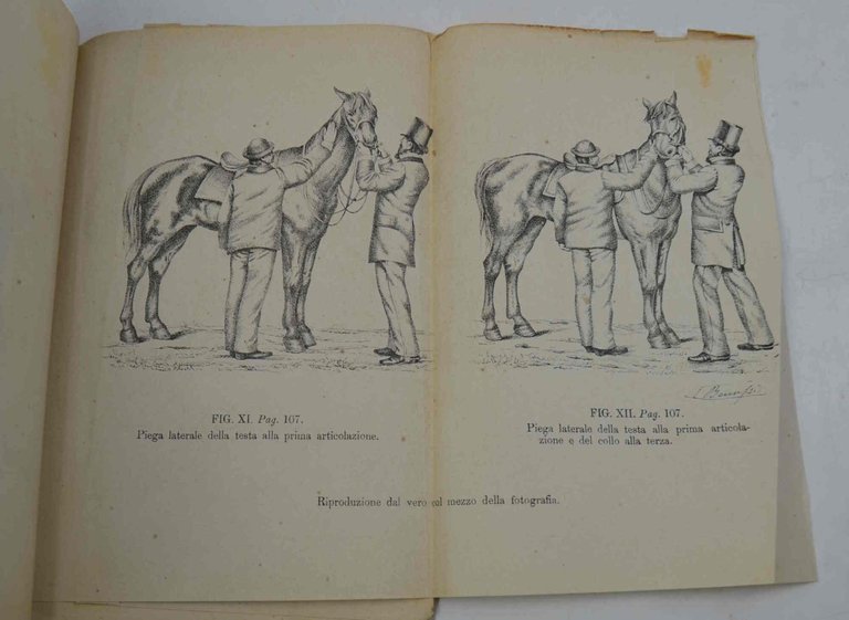 Corso magistrale di equitazione... | Immagine Gallery 2