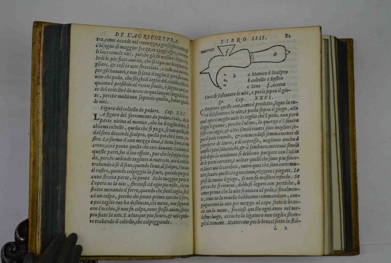 De l'agricoltura. Libri XII. Trattato de gli alberi del medesimo, …