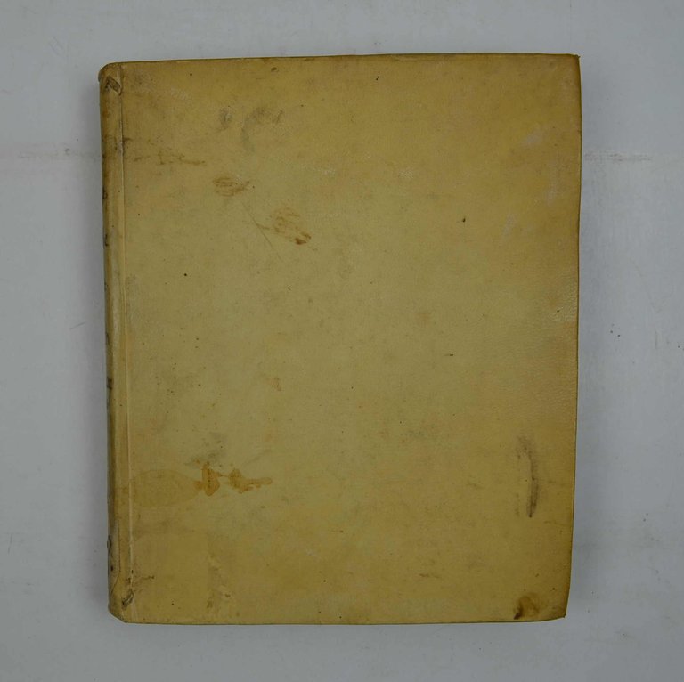 De purgatorio animadversiones in Ioannem Mulmannum Iesuitam. Eiusdem programmata sacra. … | Immagine Gallery 3