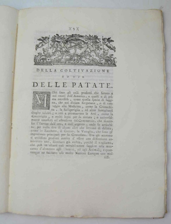 Della coltivazione e dell'uso delle patate e d'altre piante commestibili. | Immagine Gallery 2