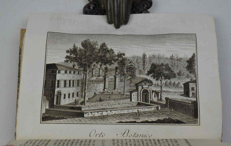 Descrizione delle Pitture, Sculture, ed Architetture di Padova, Con alcune …
