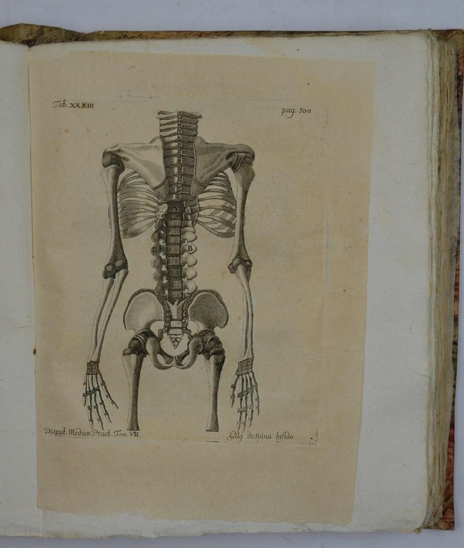 Disputationes ad morborum historiam ed curationem facientes…