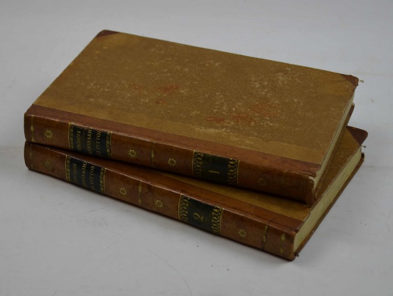 Dizionario dei pittori dal rinnovamento delle belle arti fino al … | Immagine Gallery 3