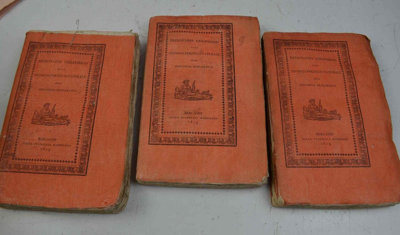 Dizionario odeporico o sia storico-politico-naturale della provincia bergamasca...