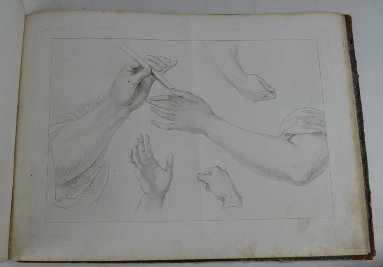 Elemens of drawing. Etude de dessin.