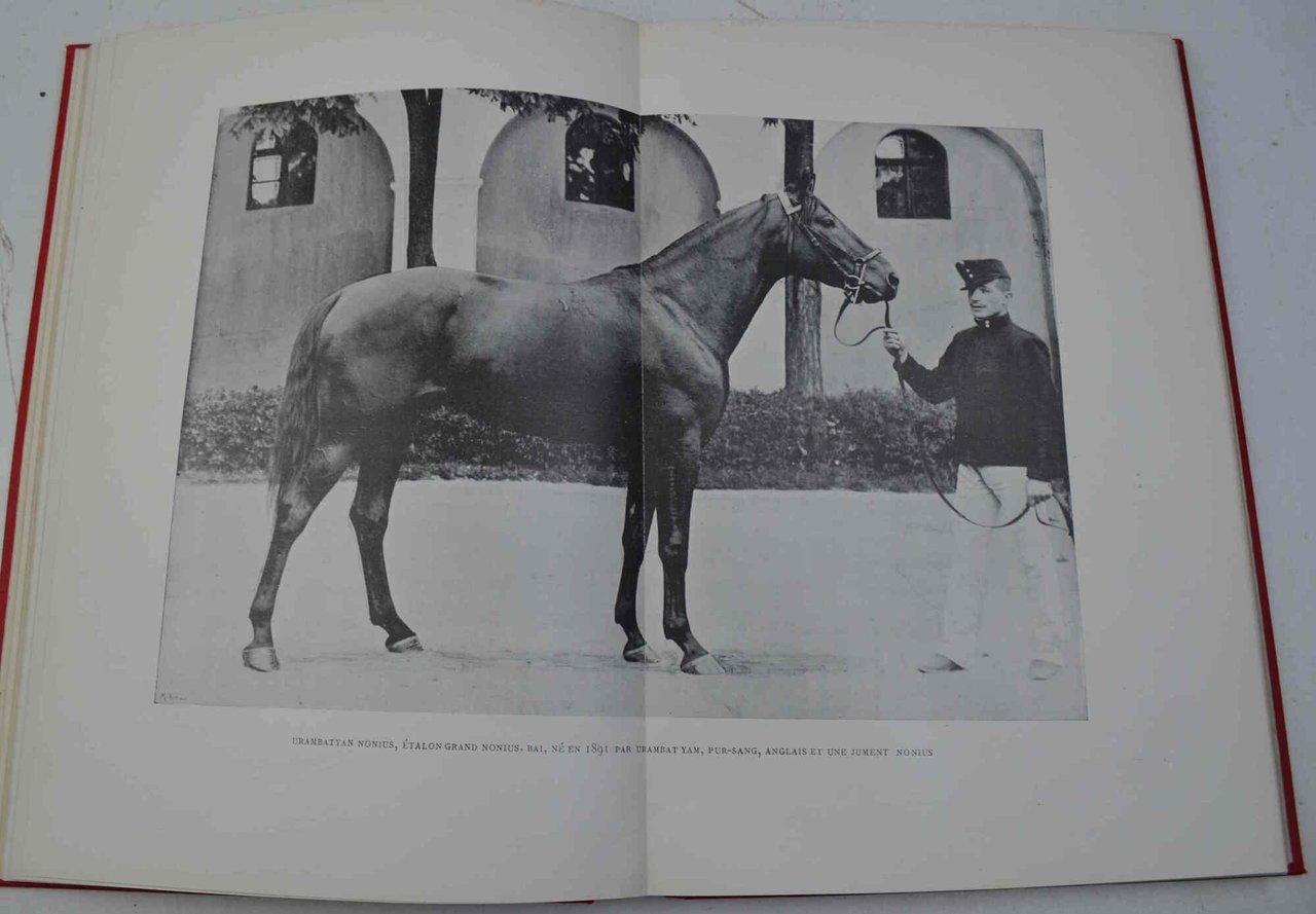 Elevage officiel en Autriche-Hongrie: I. Les haras de la liste …