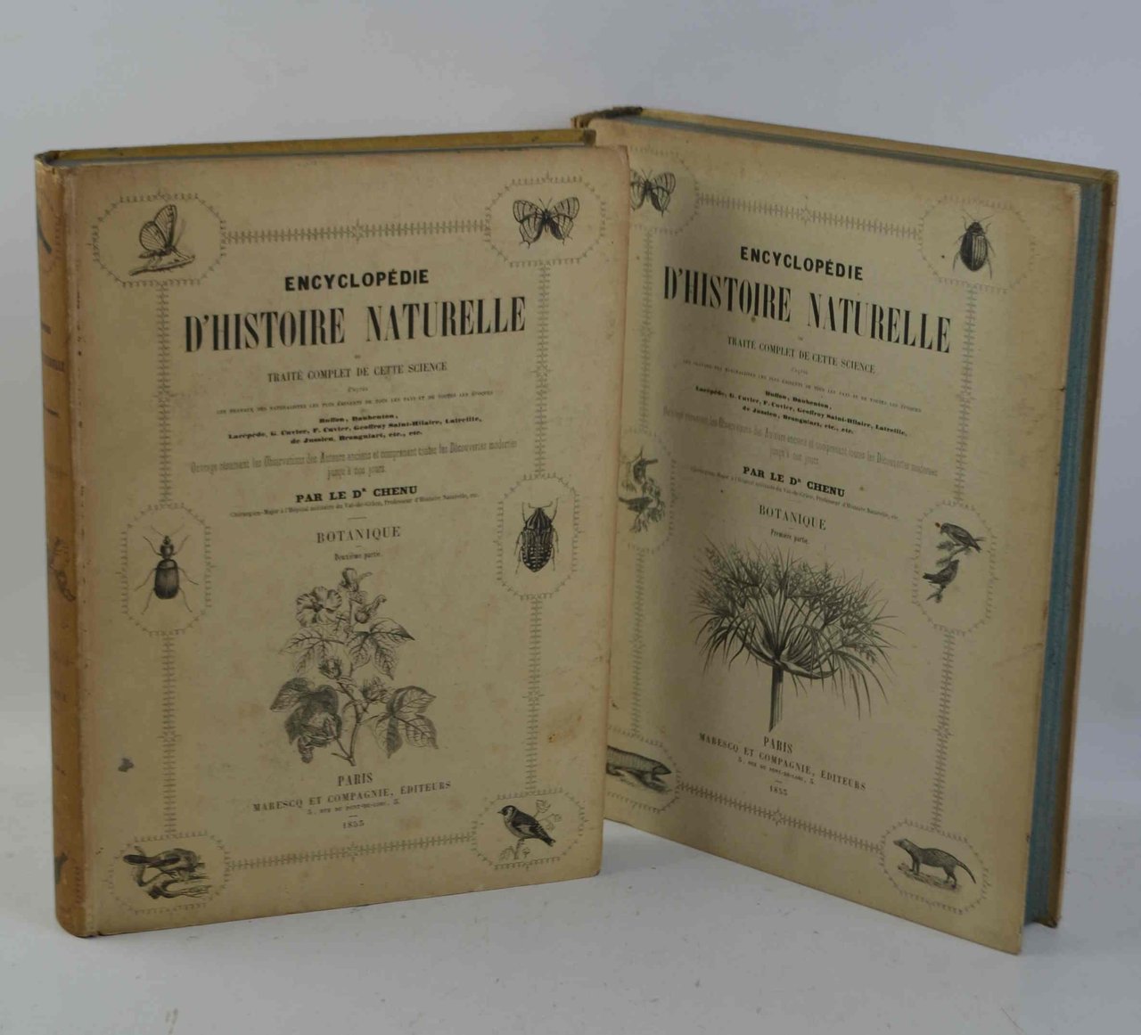 Encyclopedie d'histoire naturelle... Botanique.