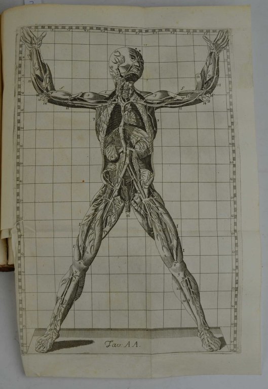 Esposizione anatomica della struttura del corpo umano. Tradotta dal franzese …