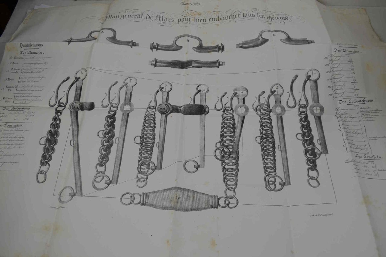 Examen du cours d'équitation de M. d'Aure, écuyer en chef … | Immagine principale