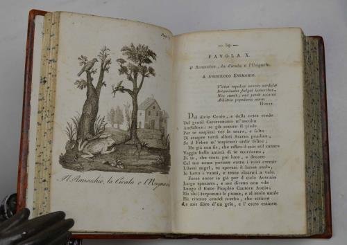 Favole e novelle… | Immagine Gallery 4