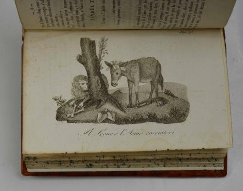 Favole e novelle… | Immagine Gallery 6