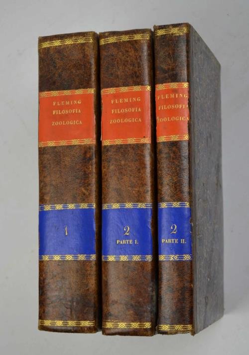 Filosofia zoologica ossia prospetto generale della struttura, funzioni, e classificazioni … | Immagine Gallery 2