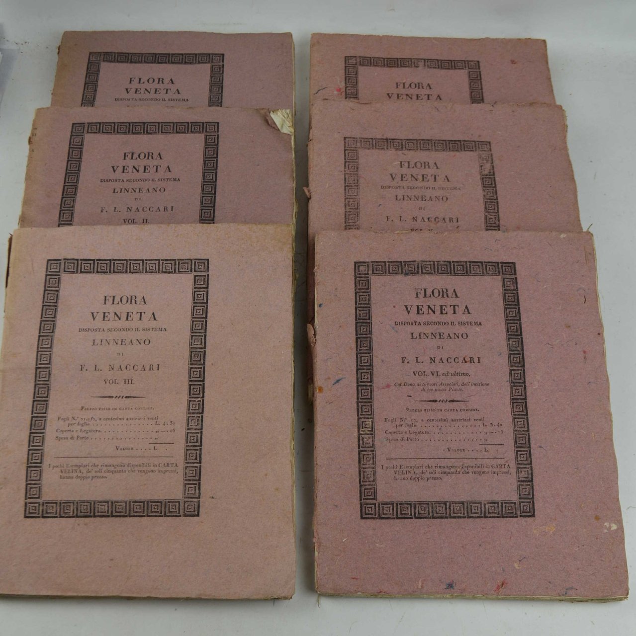 Flora veneta o Descrizione delle piante che nascono nella provincia …