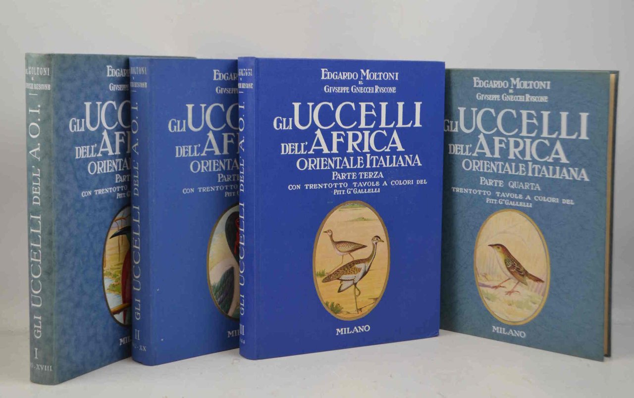 Gli uccelli dell'Africa Orientale.