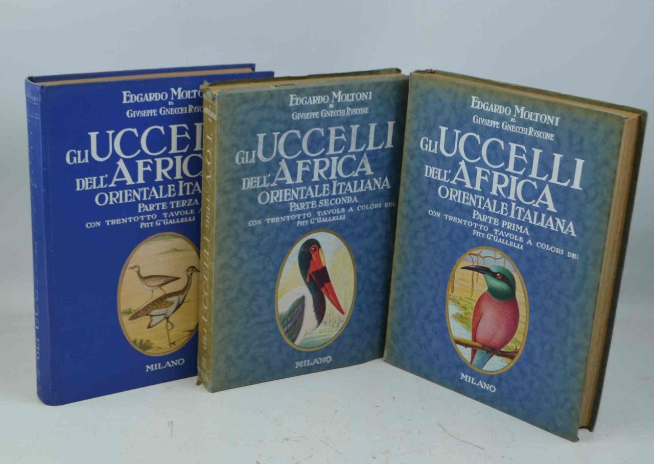 Gli uccelli dell'Africa Orientale.