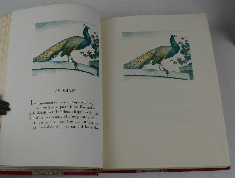 Histoires naturelles.