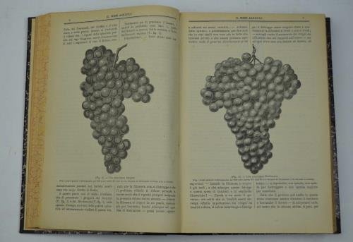 Il mese agricolo. Illustrazione mensile del campo, dell'orto e del … | Immagine Gallery 3