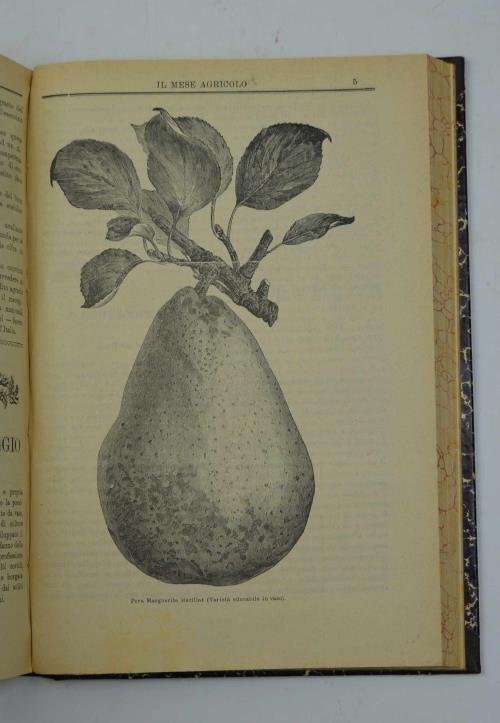 Il mese agricolo. Illustrazione mensile del campo, dell'orto e del … | Immagine Gallery 6