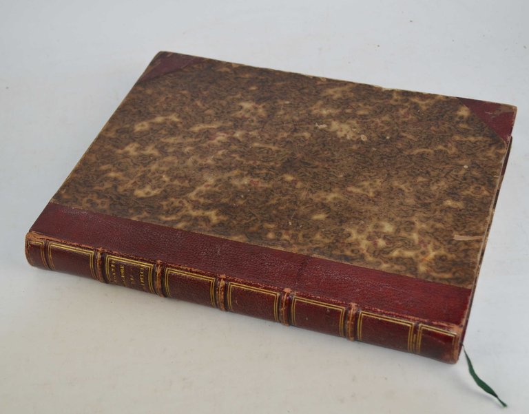 Il Morgante Maggiore. dedicato all'illustrissimo signor D. Matteo di Sarno …