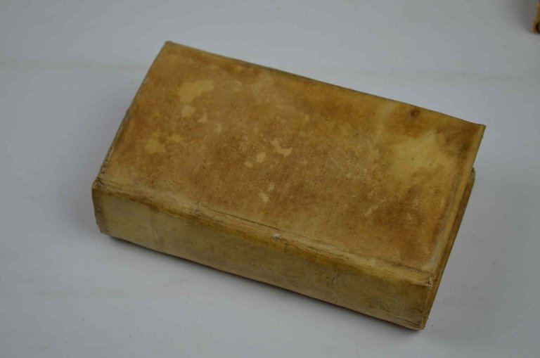 Il ritratto di Venezia…