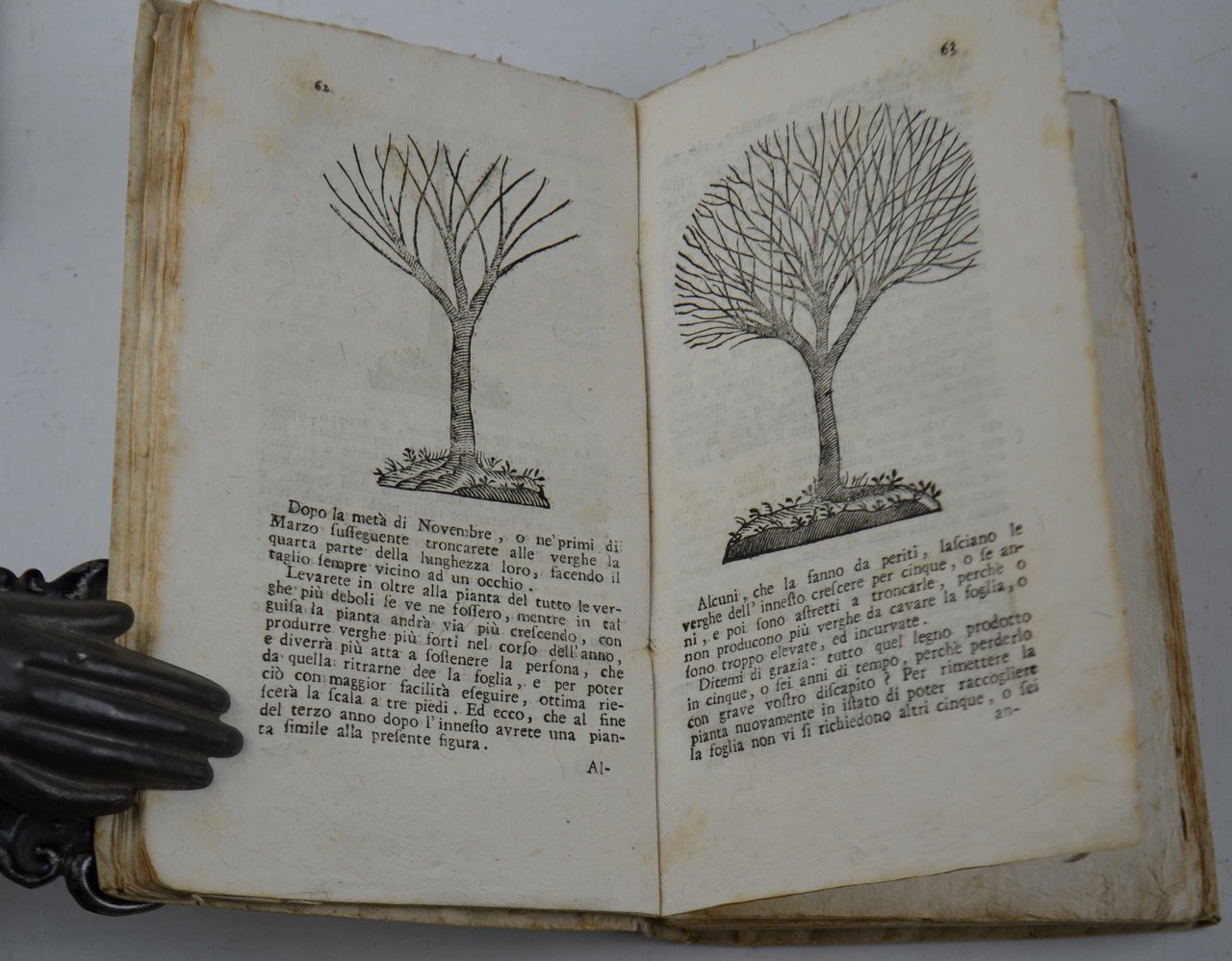 Il semplice ortolano in villa, e l'accurato giardiniere in città... | Immagine principale
