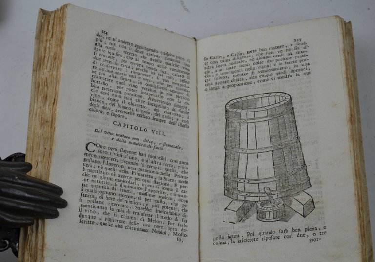 Il semplice ortolano in villa, e l'accurato giardiniere in città... | Immagine Gallery 3