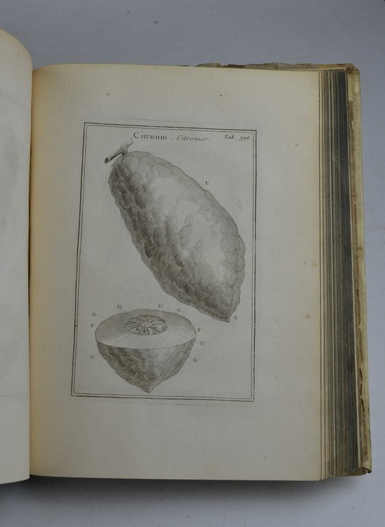 Institutiones rei herbariae. Editio tertia appendicibus aucta ab Antonio de …