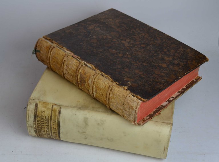 Institutiones rei herbariae. Editio tertia appendicibus aucta ab Antonio de …
