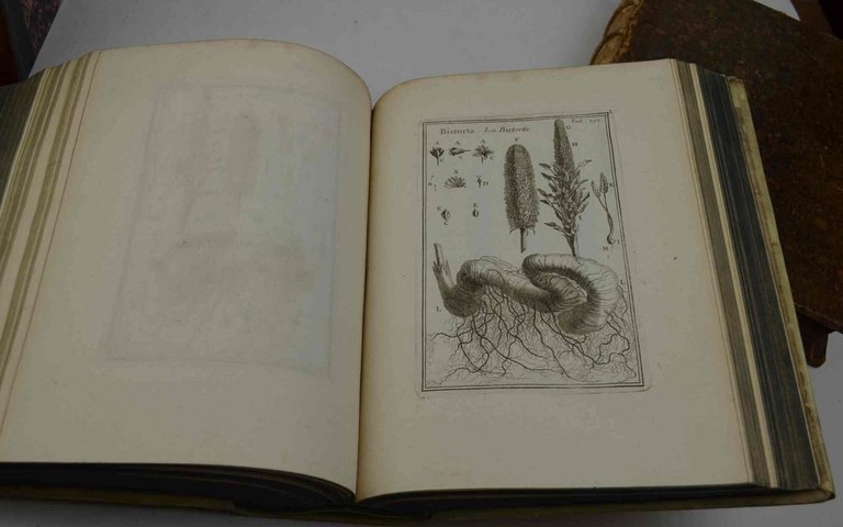 Institutiones rei herbariae. Editio tertia appendicibus aucta ab Antonio de …