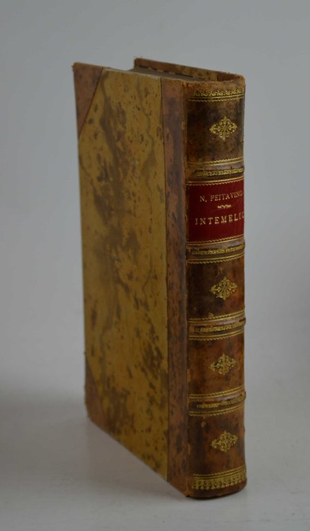 Intemelio Conversazioni storiche, geologiche e geografiche sulla città e sul …