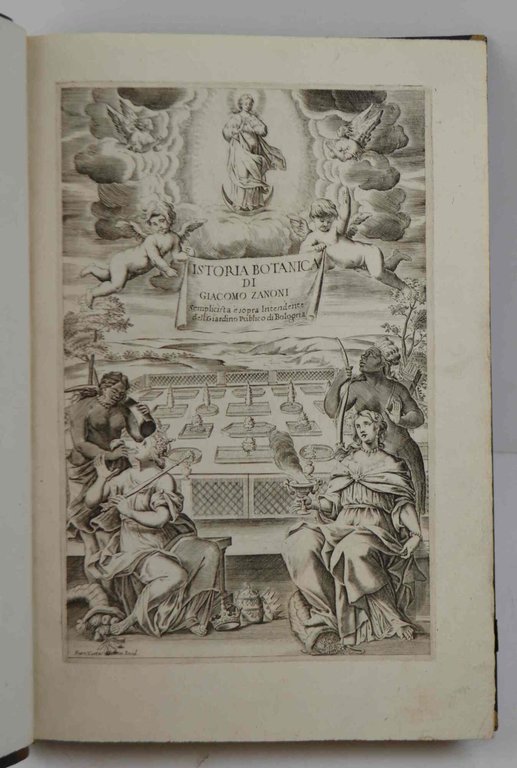 Istoria botanica... Nella quale si descrivono alcune Piante de gl'Antichi, …