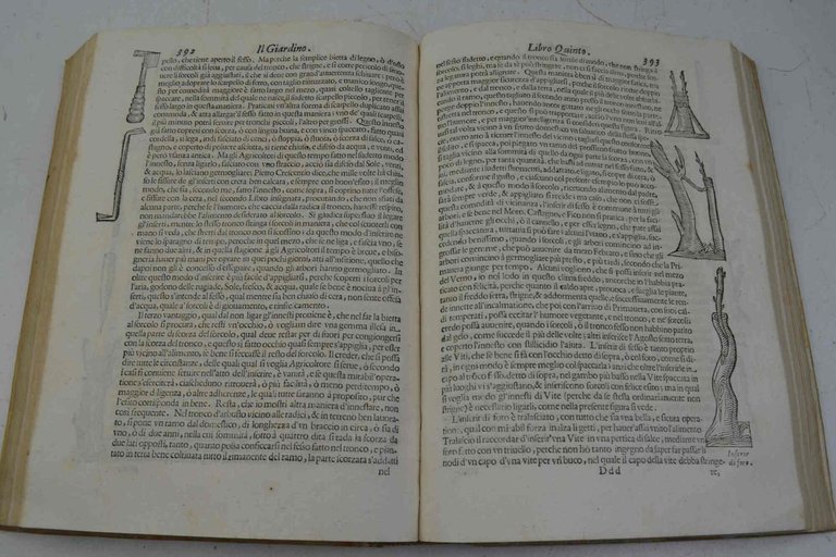 L'economia del cittadino in villa. Libri VII. Intitolati il Pane, …