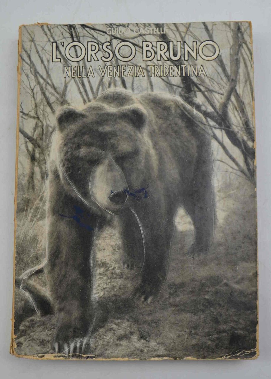 L'orso bruno (ursus arctos arctos L.) nella Venezia Tridentina.