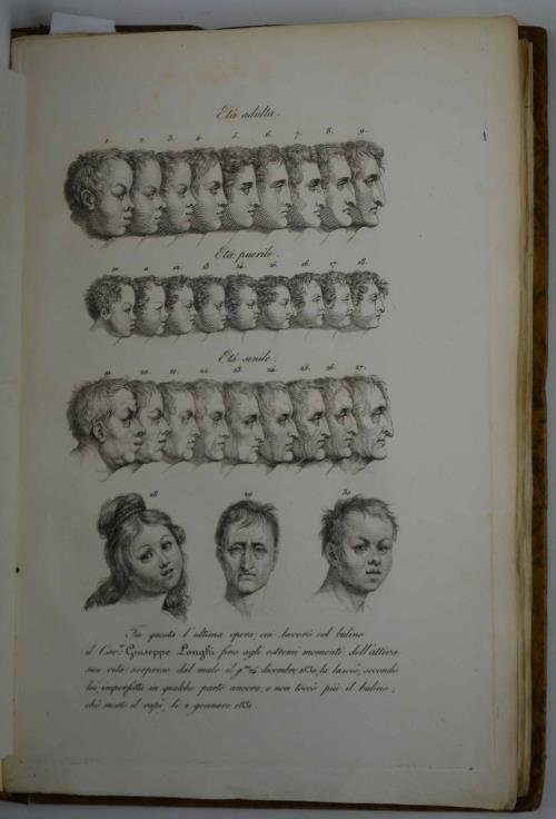 La Calcografia propriamente detta, ossia l'Arte d'Incidere in rame coll'Acqua-forte, …
