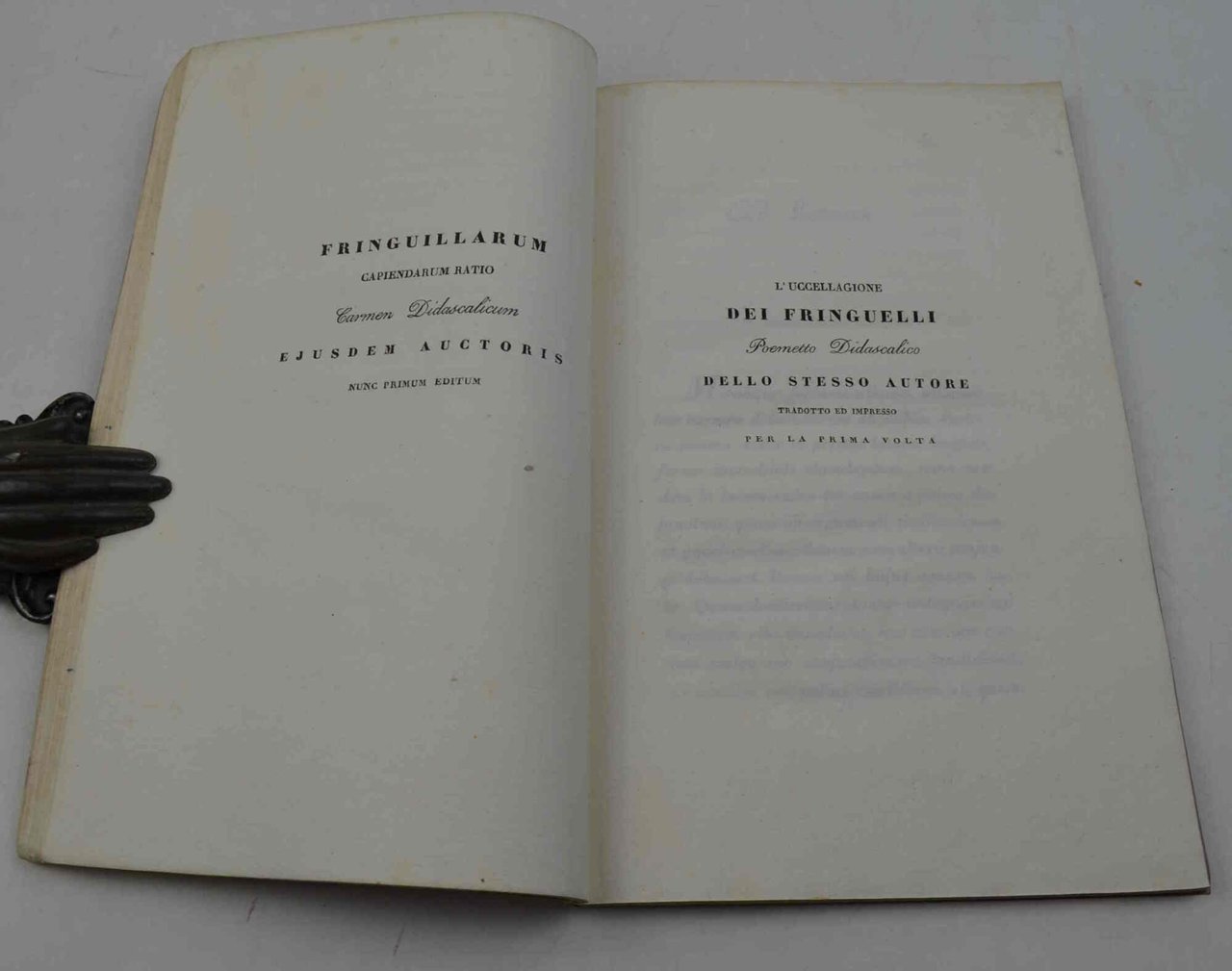 La educazione dei fringuelli... - L'uccellagione dei fringuelli...