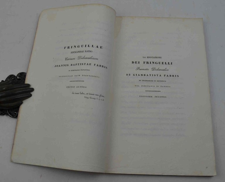 La educazione dei fringuelli... - L'uccellagione dei fringuelli...