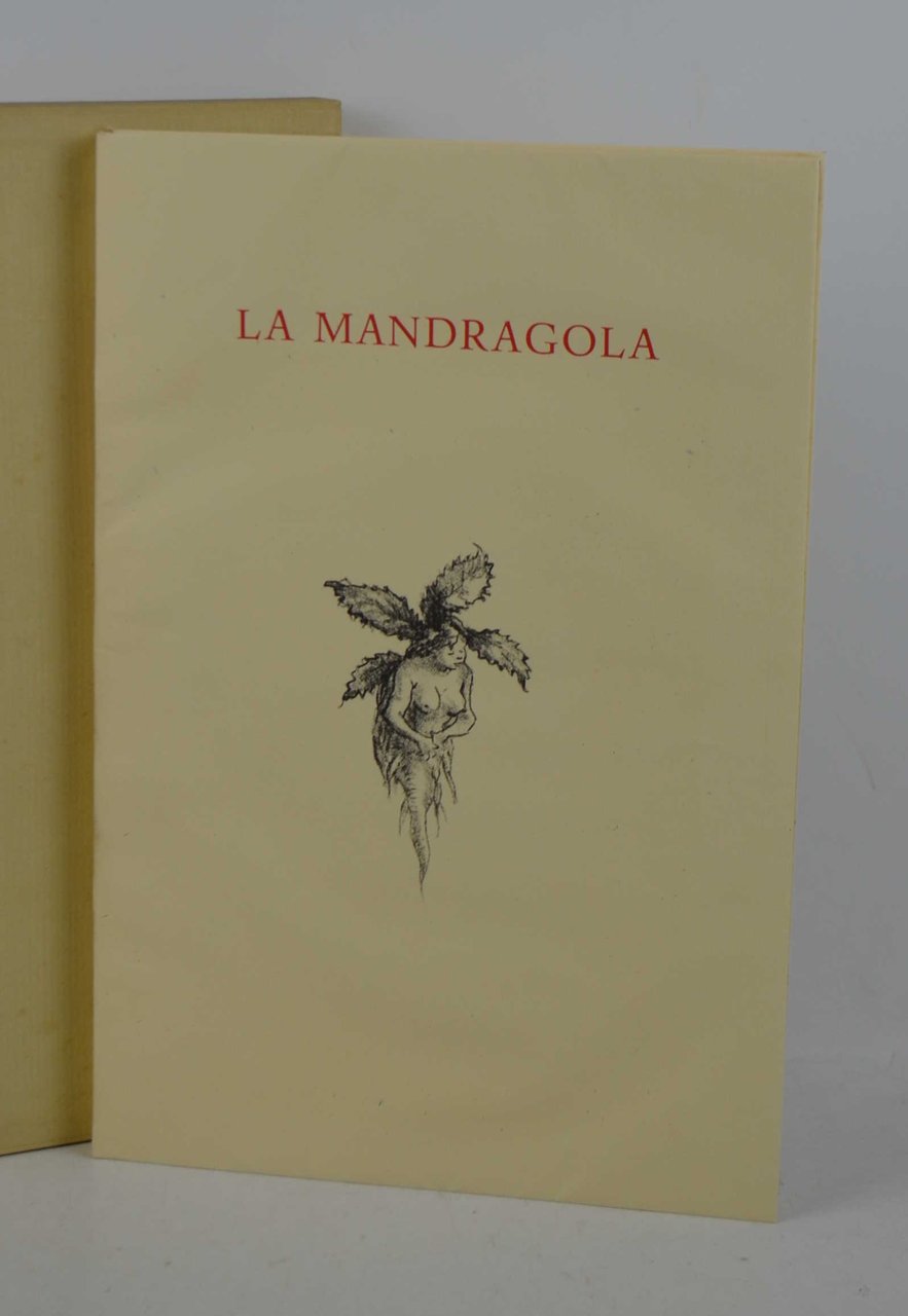 La Mandragola.